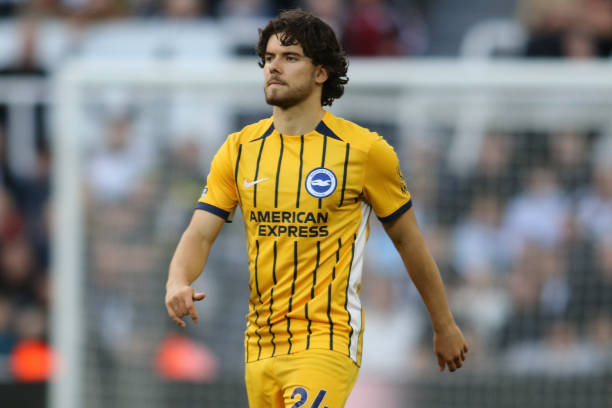 整个巴西足 整个巴西足